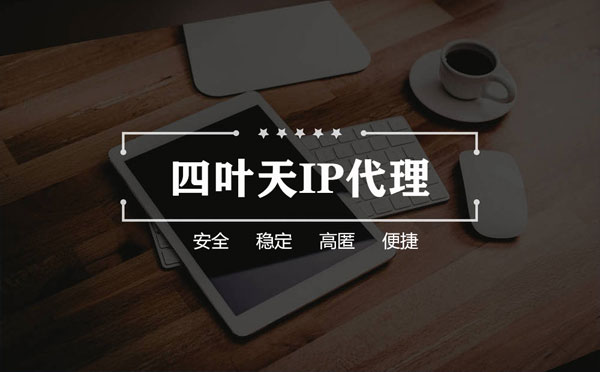 【仁怀代理IP】如何快速搭建代理IP？怎么检查代理的效果？